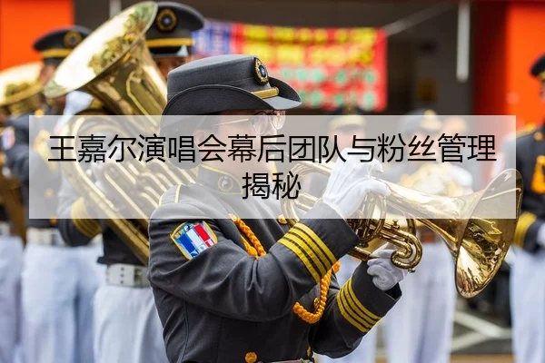 王嘉尔演唱会幕后团队与粉丝管理揭秘